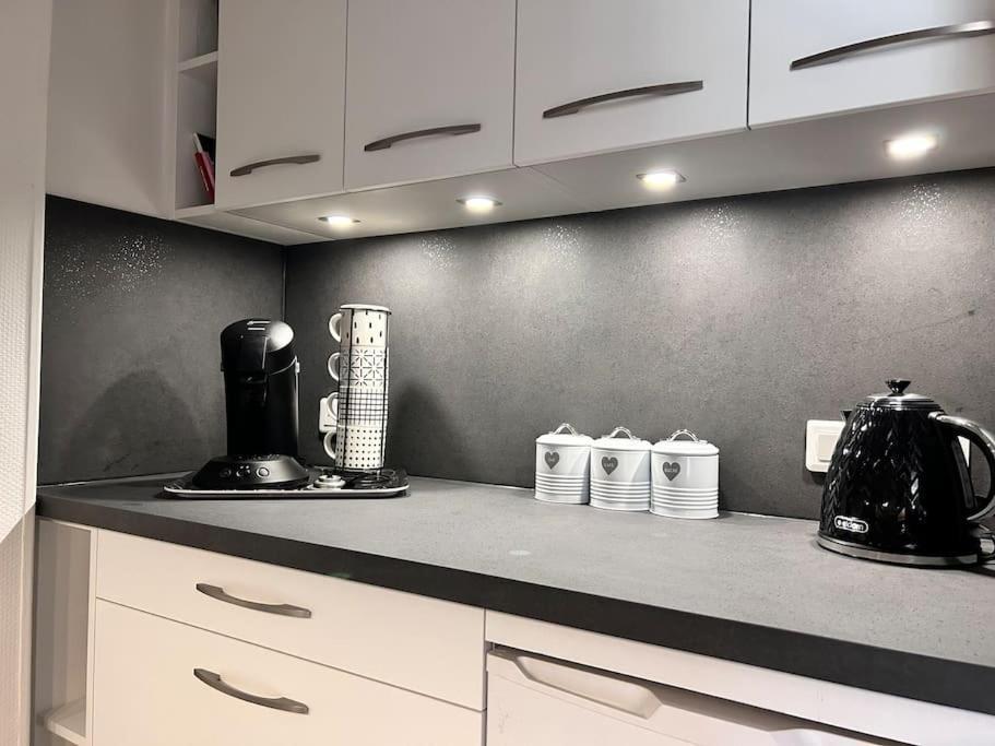 Grand T2 Cozy Avec Balcon Proche De Royatonic - 12 Rouzaud Διαμέρισμα Εξωτερικό φωτογραφία